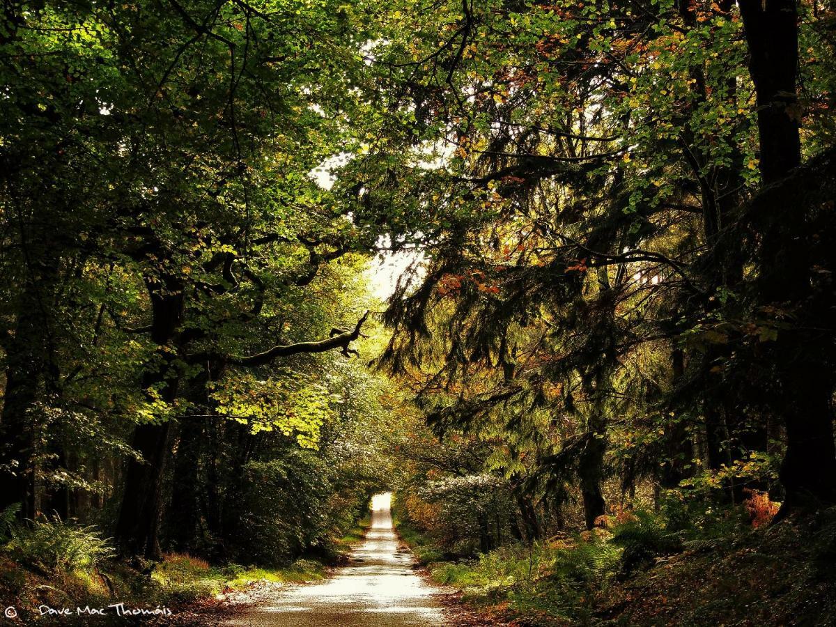Honeybrook Βίλα Crieff Εξωτερικό φωτογραφία